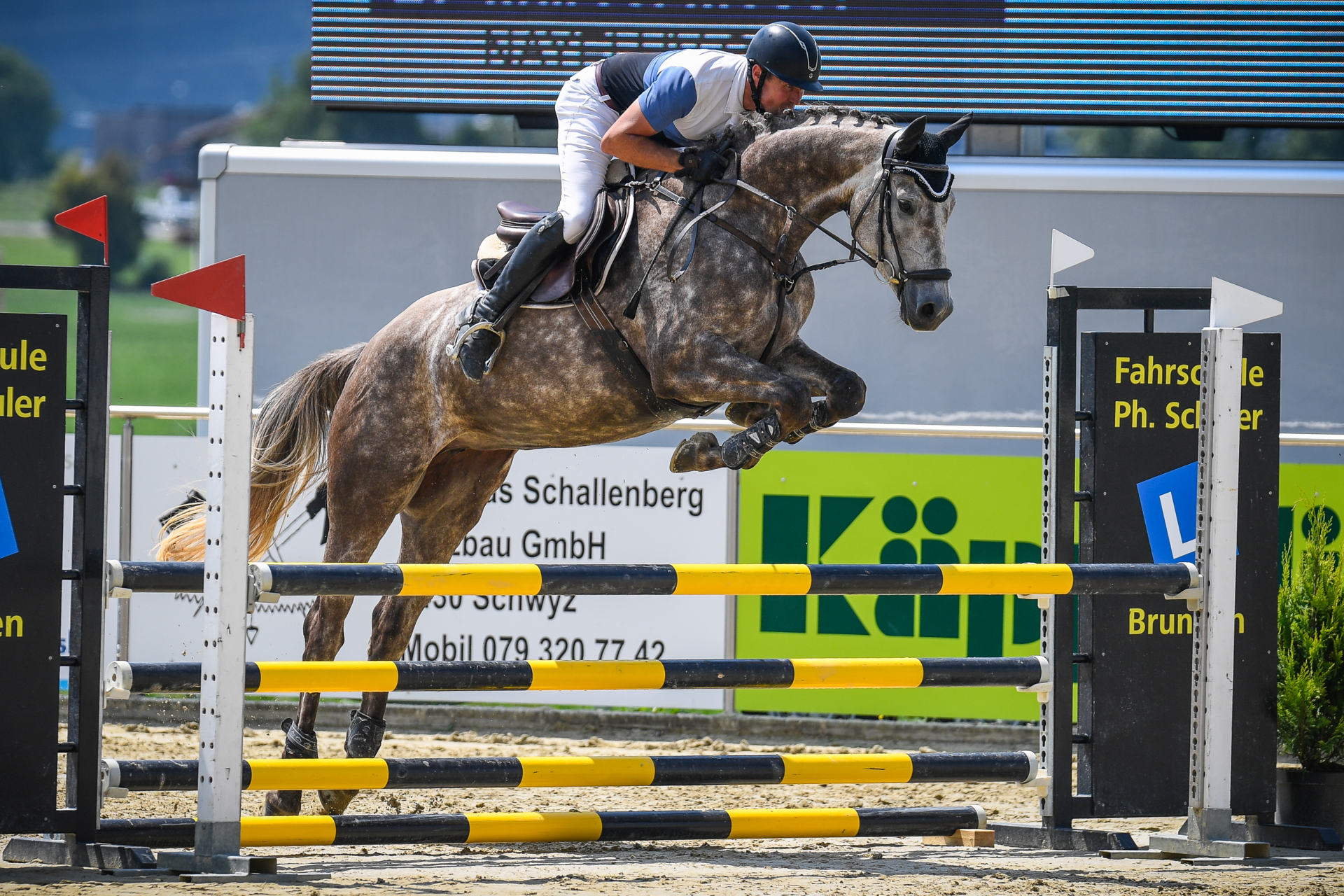 018 nayeli cs schwyz 2018 stall eicher marcel moser